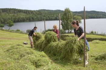 corneltiriltoneslk2011.jpg